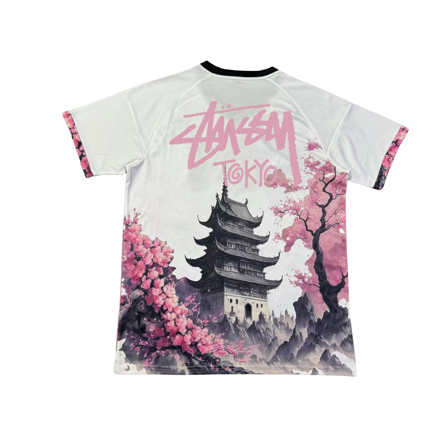 STÜSSY x “JAPAN” - ピンクドラゴン