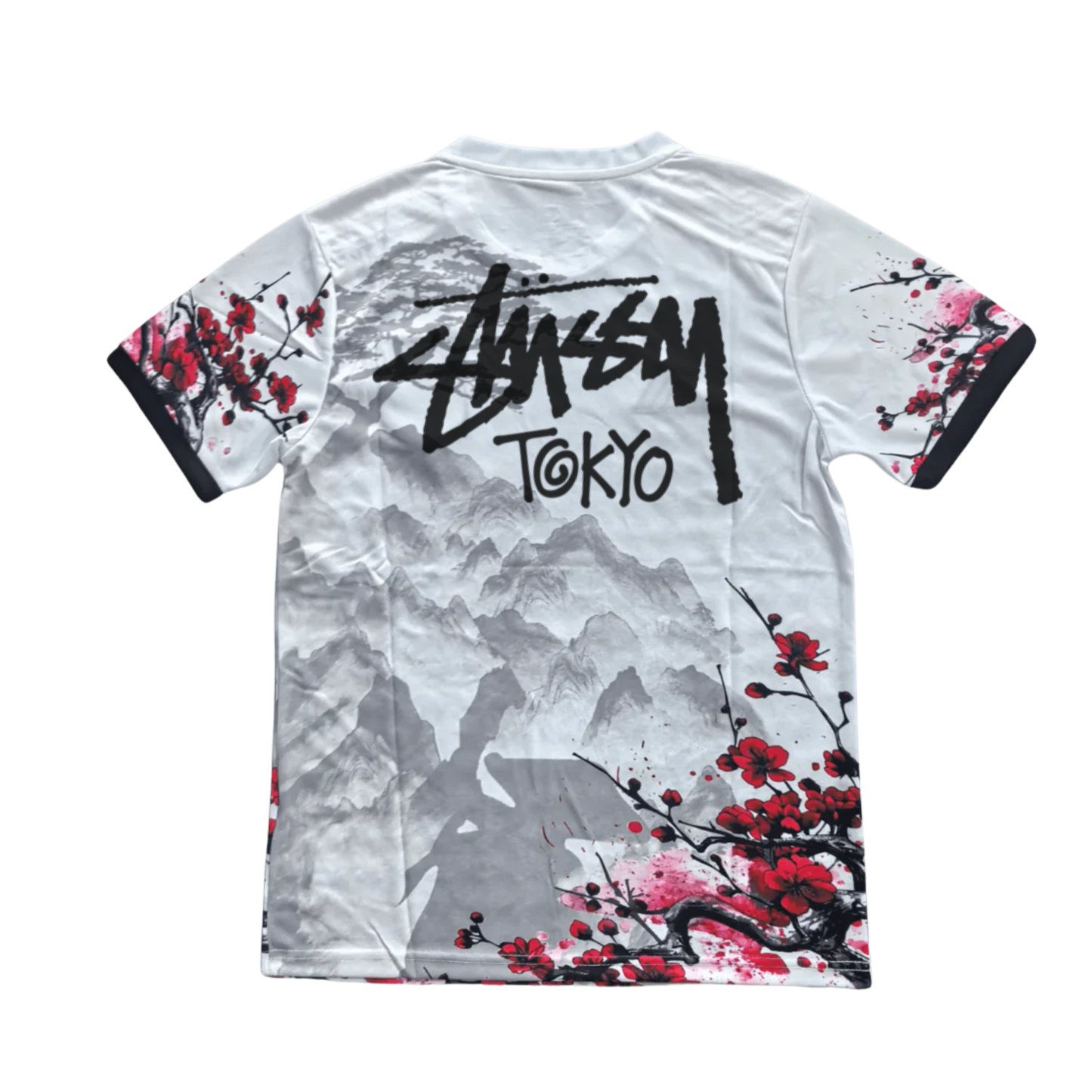 STÜSSY x “JAPAN” - レッドドラゴン